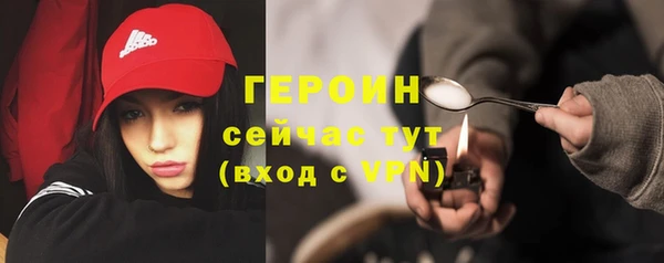 прущие грибы Переславль-Залесский