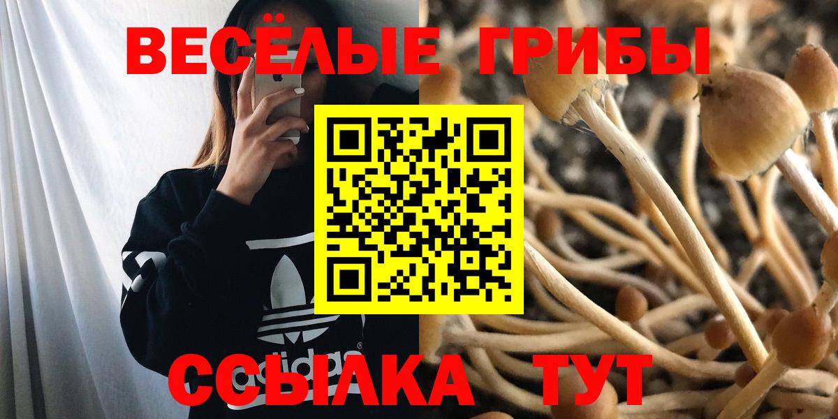 Галлюциногенные грибы Psilocybe  наркошоп  Борисоглебск  Вход с VPN  Псилоцибиновые грибы Magic Shrooms 