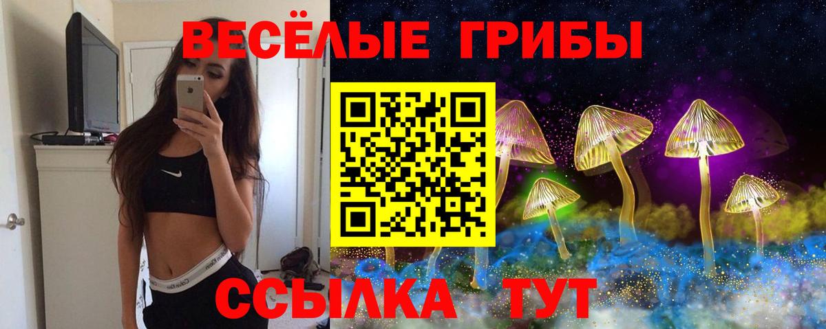Галлюциногенные грибы ЛСД Борисоглебск