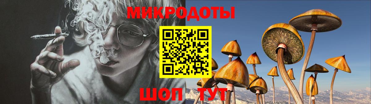 Псилоцибиновые грибы Cubensis Борисоглебск