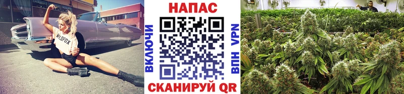 Шишки марихуана конопля  Борисоглебск 